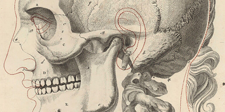 Ear Reconstruction – Division of Plastic, Reconstructive & Aesthetic ...